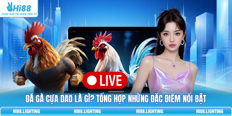 Đá Gà Cựa Dao - Đặc Điểm Của Loại Hình Giải Trí Hấp Dẫn 5 Đá Gà Cựa Dao - Đặc Điểm Của Loại Hình Giải Trí Hấp Dẫn