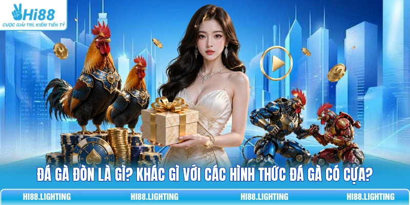 Đá Gà Đòn Là Gì? So Sánh Chi Tiết Với Đá Gà Có Cựa 2026 1 Đá Gà Đòn Là Gì? So Sánh Chi Tiết Với Đá Gà Có Cựa 2026