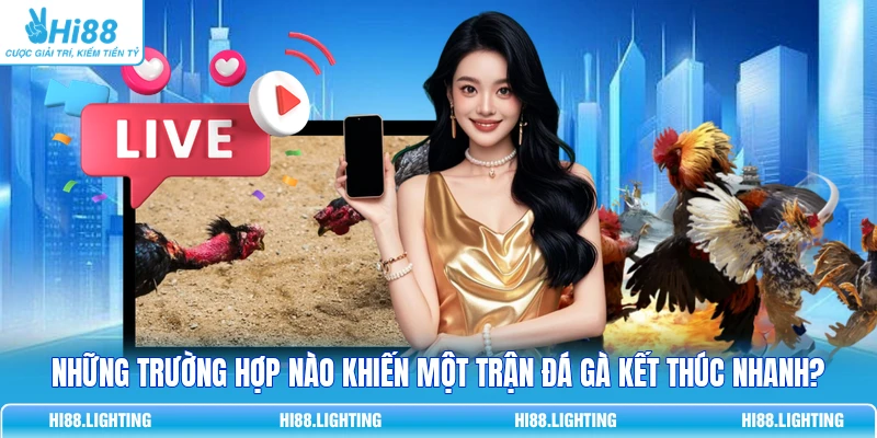Tình Huống Khiến Trận Đấu Đá Gà Trực Tuyến Kết Thúc? 9 Tình Huống Khiến Trận Đấu Đá Gà Trực Tuyến Kết Thúc?